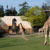 Zoo Olomouc