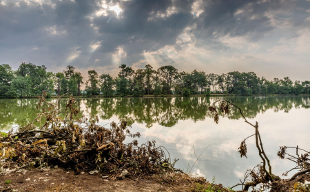 foto: Daniel Schulz foto: Daniel Schulz